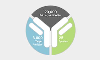 Bio-Techne Custom Antibody Services allow you to choose from 20,000 primary antibodies, 3,600 target analytes and 25 species.
