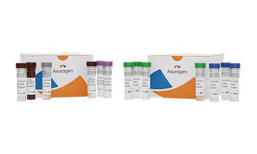 quantidex-oncology-kit-bcr-abl-is