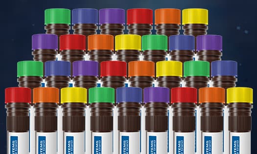 4 rows of fluorescently conjugated antibodies in vials with white and blue labels, and lids of various colors.