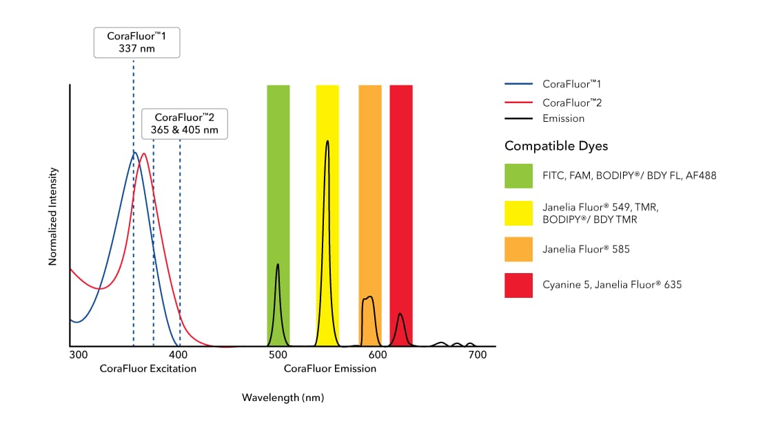 CoraFluor emission spectral overlap with common acceptor dyes