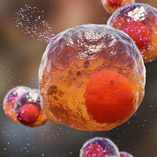 3D image of cell releasing cytokines
