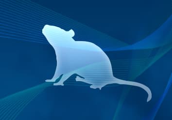 Mouse Model Immunoassays