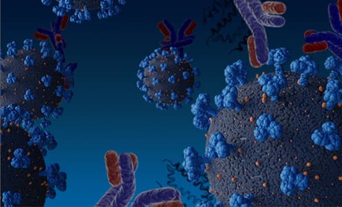 R&D Systems antibodies for SARS-CoV-2 research and the development of COVID-19 diagnostic tools and therapeutics.