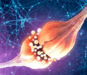 Neuroscience App image for Ella 
