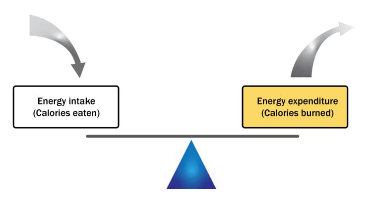 Reagents and Assays for Energy Balance Research
