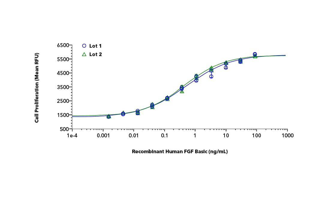 Lot-to-lot consistency analysis of Recombinant Human FGF-basic using a cell proliferation assay on mouse fibroblast cells
