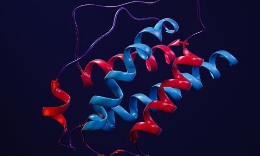 structure of R&D Systems GMP protein structure