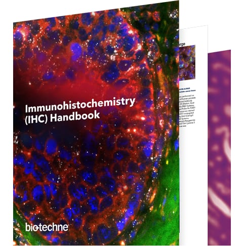 Immunohistochemistry (IHC) Handbook from BioTechne