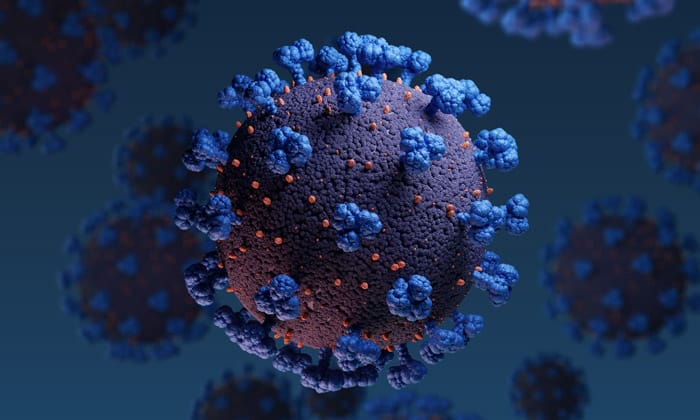 Infectious Disease Cell SARS CoV-2
