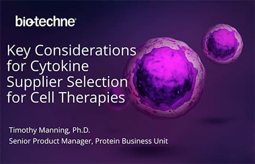 Key Considerations for Cytokine Supplier Selection for Cell Therapies Thumbnail