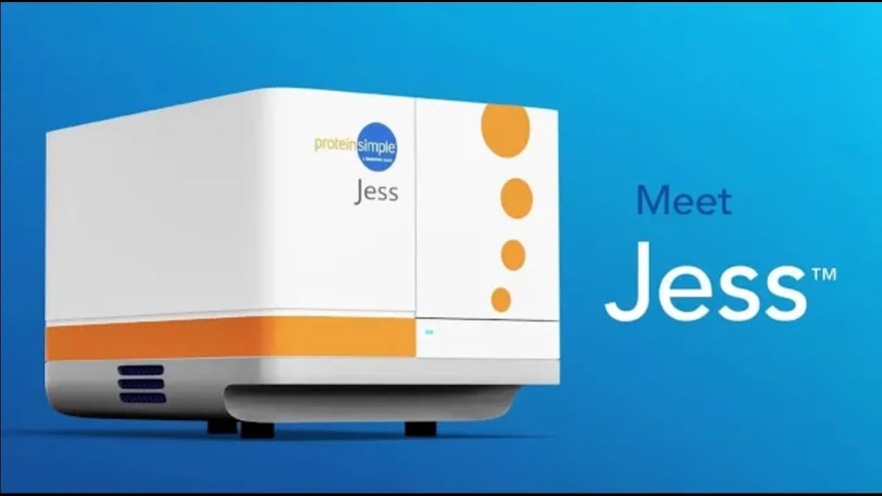 Meet Jess: Automated Western Blot System