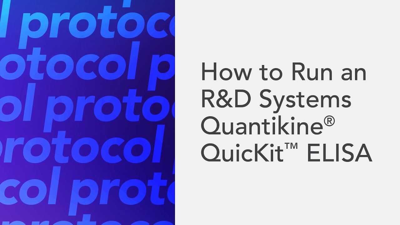 How to Run an R&D Systems Quantikine® QuicKit™ ELISA