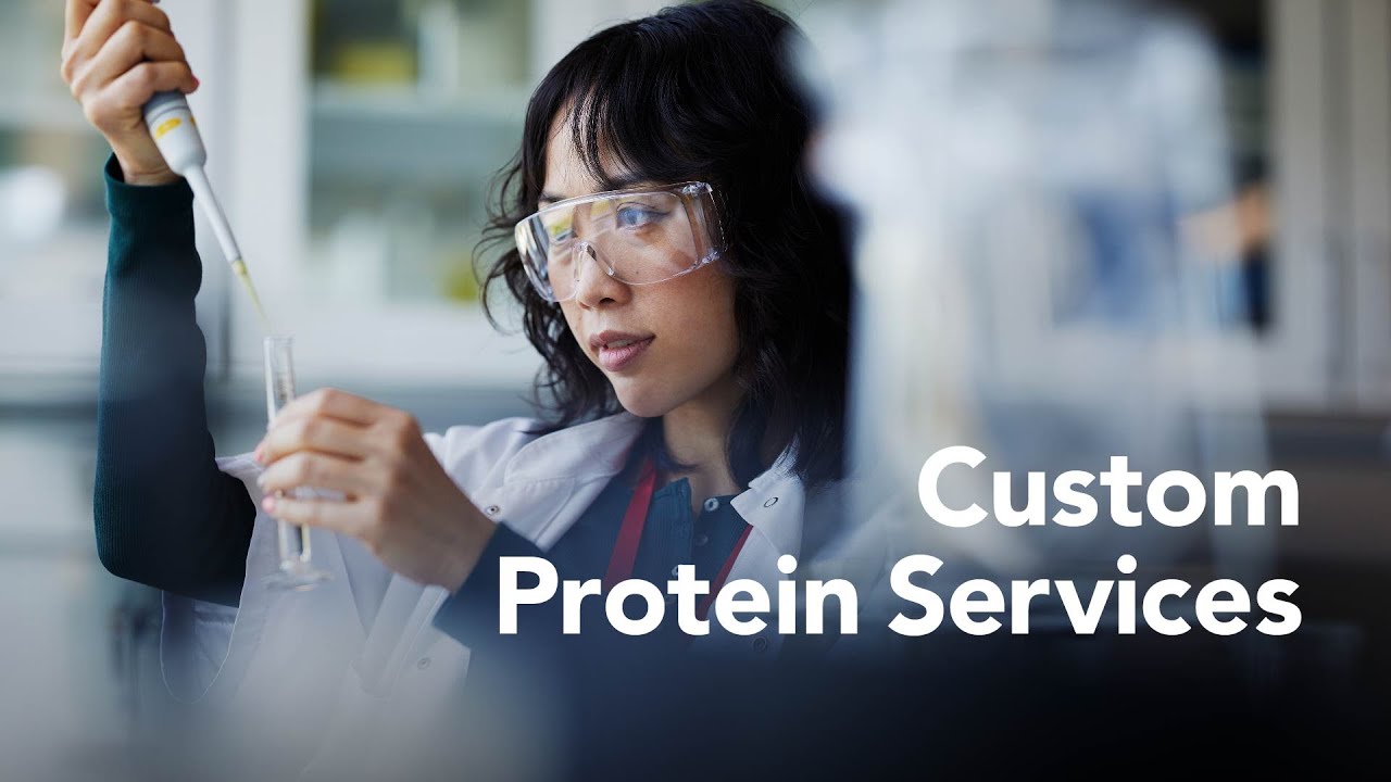 R&D Systems Custom Protein Development Services - Bio-Techne