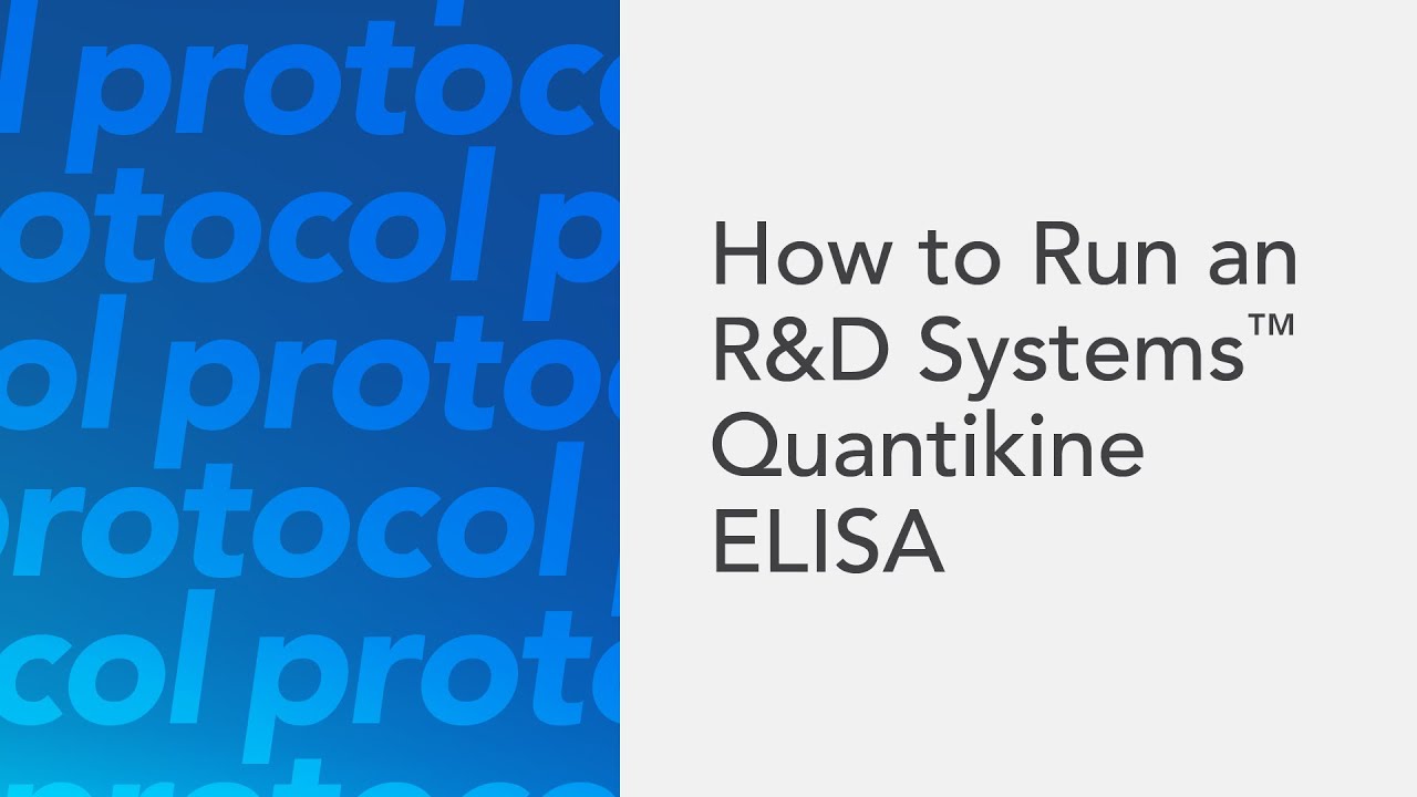 How to Run an R&D Systems Quantikine ELISA - an ELISA protocol video