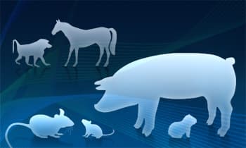 Unique Animal Model Systems