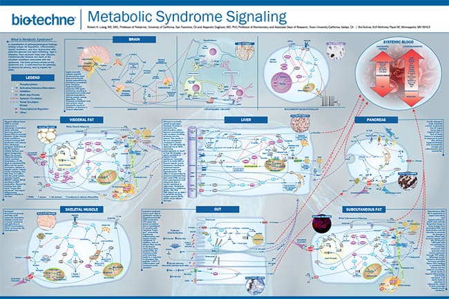 Metabolic Syndrome poster