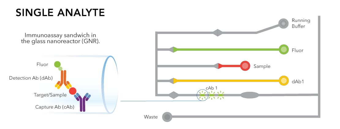 Single analyte assay diagram with glass nanoreactor immunoassay sandwich detail