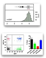Milo’s single cell protein analysis