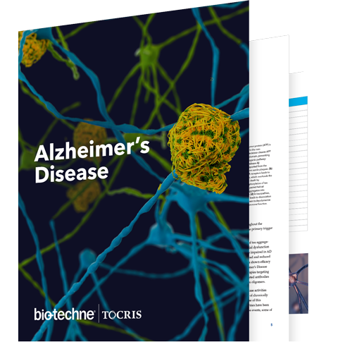 Alzheimer Disease Brochure