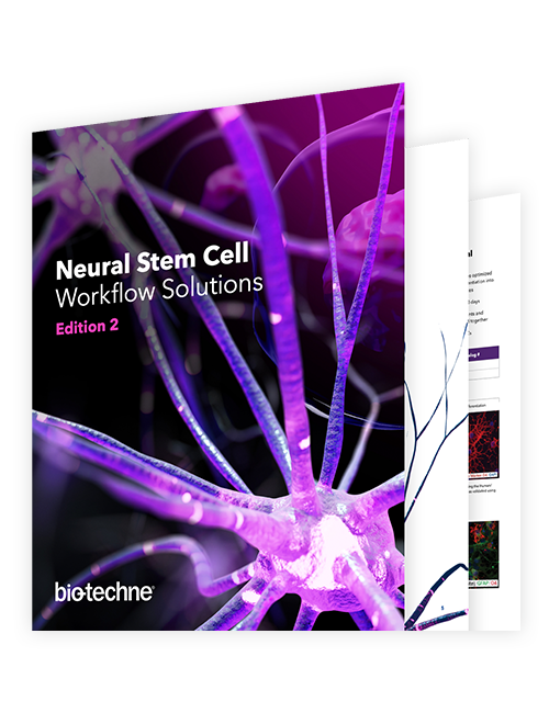 Neural Stem Cell Brochure Thumbnail