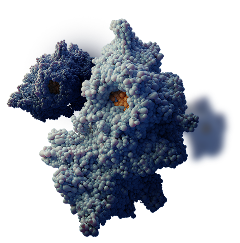 3D image of an Enzyme