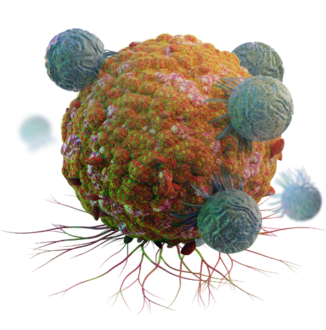 Immuno-Oncology Hero Image