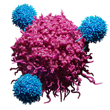 general cancer cell b