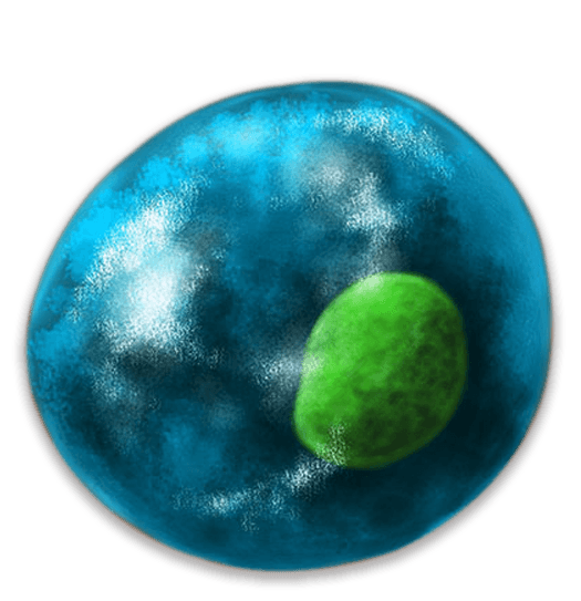 Treg Cell Image