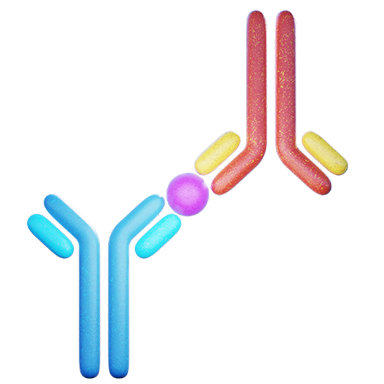 Sandwich ELISA antibody binding antigen in ELISA kit plate well