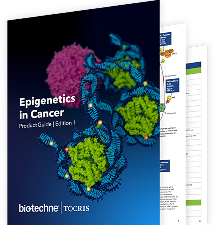 Epigenetics in Cancer Product Guide