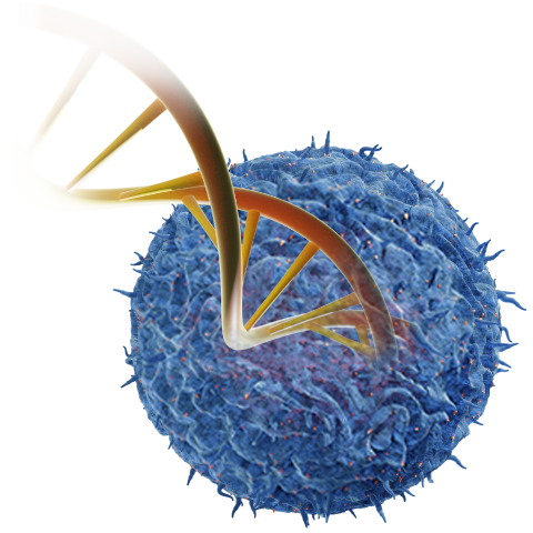 Genome engineering
