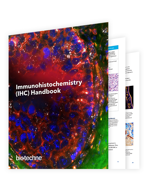 Immunohistochemistry Handbook Thumbnail