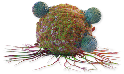 Immuno-oncology cancer cell