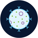 Immuno-Oncology Key Application Icon