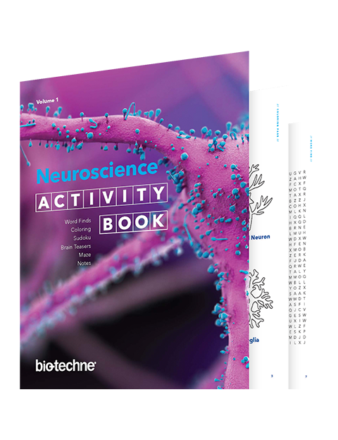 Neuroscience Activity Book
