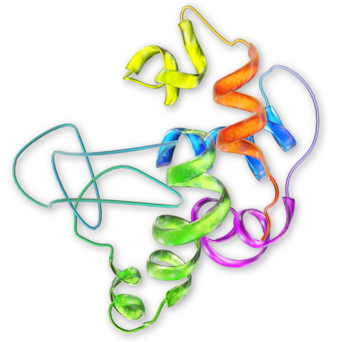 protein bioprocessing
