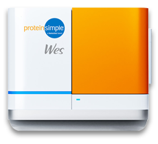 Wes instrument by ProteinSimple a Bio-Techne brand