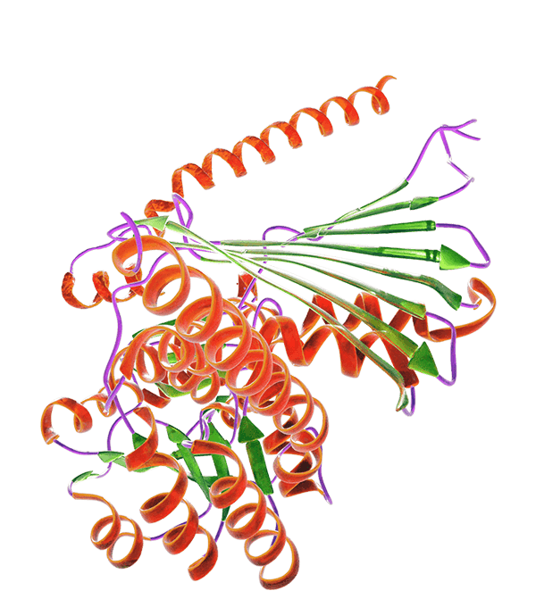 Structure of R&D Systems GMP Protein