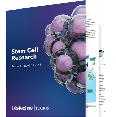 Stem cell research guide
