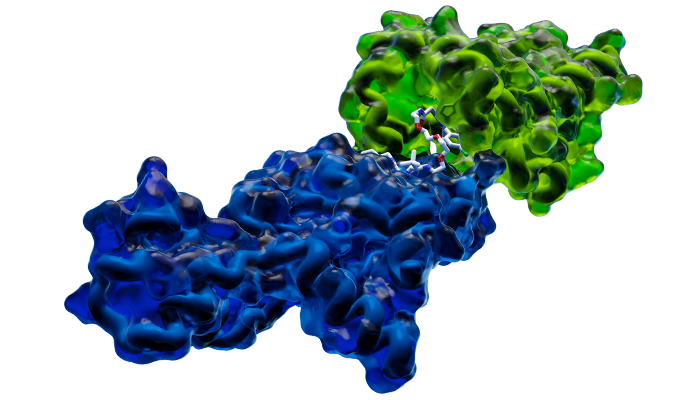PROTAC degrader molecule in complex with an E3 ligase and the target protein