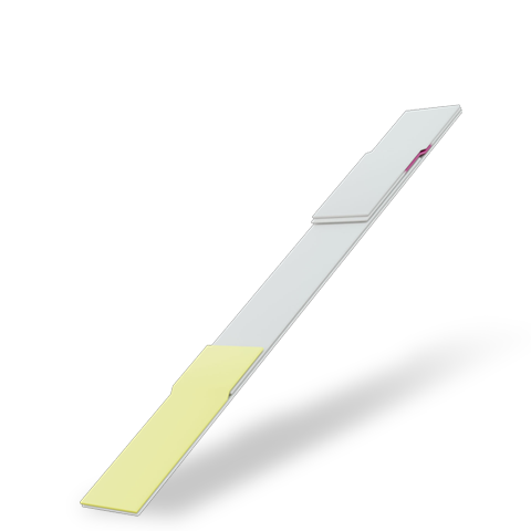 Lateral Flow Dipsticks