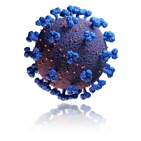 Sars-Cov-2 Coronavirus Protein